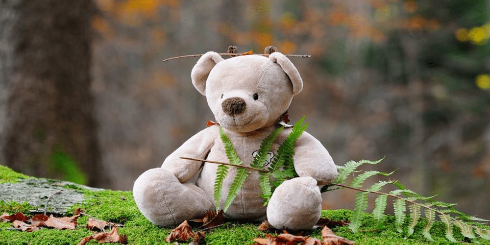 osito de peluche sobre tronco