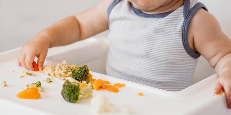 Métodos de alimentación complementaria
